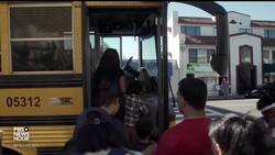 Why Doctors Are Increasingly Prescribing Nature News Clip