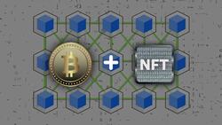 What are NFTs? Instructional Video