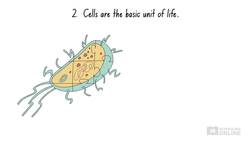 IB Biology: Cell Biology - The Cell Theory Instructional Video