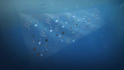 Groups hunting for ‘ghost net’ near Hawaii Instructional Video