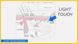 Can Plants Hurt When We Eat Them? - From A to B Instructional Video