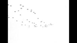 US Army and Air Force jointly undertake first Arctic Airborne Operation in Arctic Night exercise, March 1956 News Clip