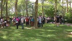 Man accused of setting NYPD vehicles on fire turns himself in News Clip