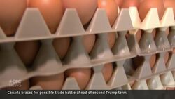 Canada braces for tariffs, trade disruption with 2nd Trump presidency News Clip