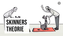 Skinners Operante Konditionierung Instructional Video