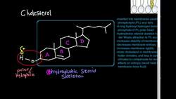 Cholesterol Structure (Part 1 2) Instructional Video