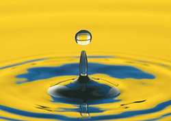 Water cycle Instructional Video