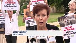 Protesters call for justice for dog that was DA says was 'sadistically punted' by man Instructional Video