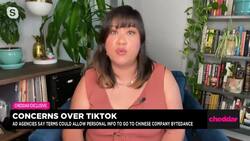 Ad Agencies Say TikTok Poses Privacy Risk News Clip