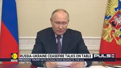 Russia-Ukraine ceasefire: Trump wins praise from Kremlin as diplomatic doors reopen News Clip