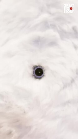 Inside the wild, spy creatures reveal animal secrets Instructional Video