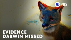 Darwin Missed An Example of Evolution Right Under His Nose Instructional Video