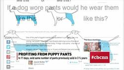 Puppy pants get profitable pronto News Clip
