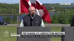 Attack on dairy News Clip