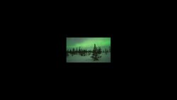 8K Ultra HD Northern Lights Timelapse Compilation from Churchill, Manitoba Instructional Video