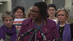 House votes to renew domestic violence law News Clip