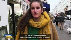 Is the EU going to lower mercury allowed levels in tuna? News Clip