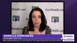 Urban Farming Provides More Benefits Than Just Food News Clip