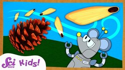 What's Inside a Pinecone? | Winter is Alive! | SciShow Kids Instructional Video