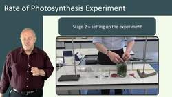 Rate of Photosynthesis Experiments: Investigating the Relationship between Light Intensity and Oxygen Production in Pondweed Instructional Video