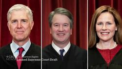 Emotional reactions to potential overturning of U.S. abortion law News Clip