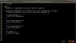 C++ Standard Template Library in Practice - Overloading Stream Operators Instructional Video