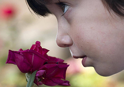 Our senses Instructional Video