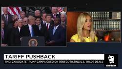 RNC Spokesperson: President Trump's Tariffs Should Come As No Surprise News Clip
