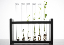 Bioaccumulation in Food Chains Instructional Video