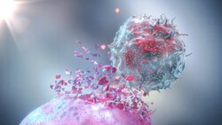 Natural Killer Cells: The Tumor Killers Instructional Video