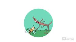 Science for Kids: Stage 1 - A Busy Bee Instructional Video