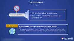 Salesforce Platform App Builder Certification Training - Global Picklist Instructional Video