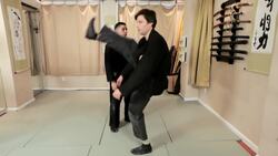 How to Do the Zenpo Geri aka Forward Kick in Ninjutsu Instructional Video