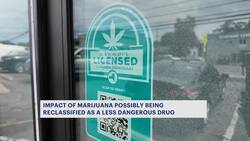 Trump considers cannabis reclassification, dispensary owners react News Clip