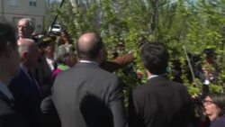 CLEAN : French PM Castex meets tree farmers to discuss frost damage News Clip