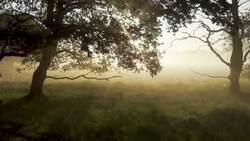 Joanna of Castile part 7: Ferdinand II Seizes Power Instructional Video