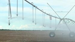Pivot irrigation system in 4K 60fps. Close-up of pivot sprinkler system irrigating crops. Irrigation pivot system watering agriculture field Stock Footage