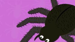 I WONDER - Do Arachnids Have Any Special Features? Me Pregunto - Tienen Los Arácnidos Alguna Característica Especial? Instructional Video