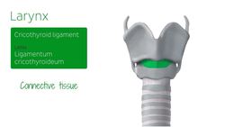 Trachea Instructional Video