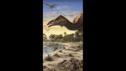 What Came First, Chicken Or Egg? Scientists Finally Have An Answer Instructional Video