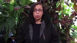 Nancy Correa "ORCA"" Instructional Video