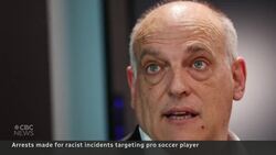 Several arrested after effigy of soccer star hanged News Clip