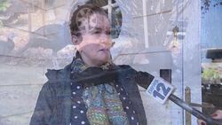 Wild turkeys take over parts of LI again after years of being absent News Clip