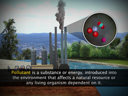 Pollutants Instructional Video