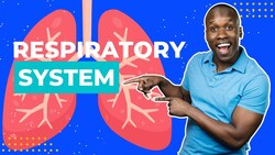 A Respiratory System Overview - How We Breathe Instructional Video