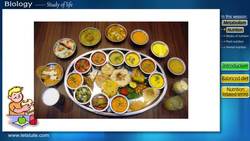 Understanding Nutrition: A Complete Guide to a Healthy Diet Instructional Video