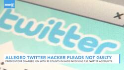 Alleged Twitter Hacker Pleads Not Guilty In Florida Court News Clip