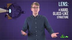 What Are Eyeballs Made Of? Instructional Video