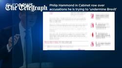 Brexit: trade versus immigration rows reported in British cabinet News Clip