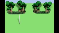 Ball-Handling Skills Instructional Video